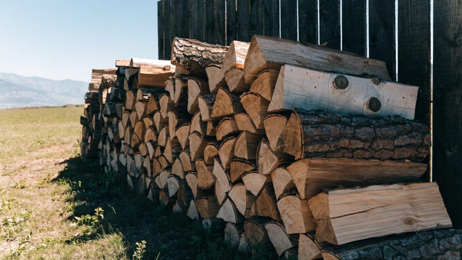 What to Burn in Boulder: A Firewood Guide for Thin, Dry Air